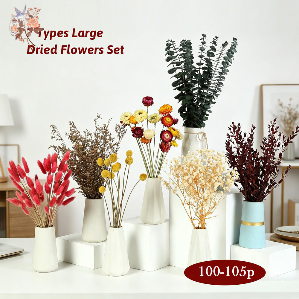 Getrocknete Blumen Großpackung – Florist Supply Bulk Bewertung und Preis