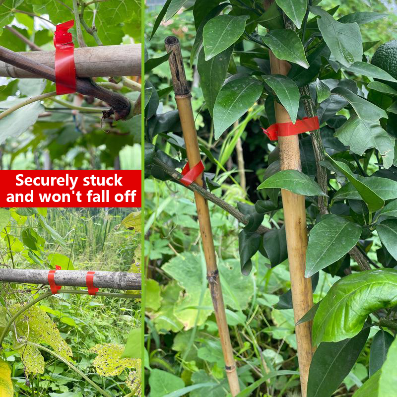 Garten-Pflanzenbindemaschine f – Florist Supply Bulk Bewertung und Preis